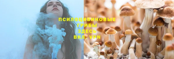 спиды Бронницы
