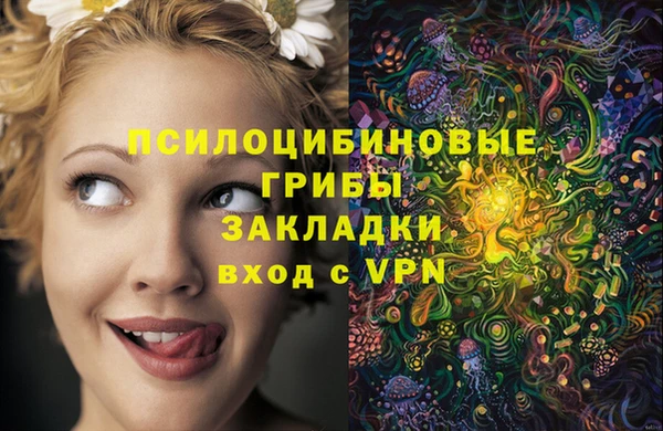 марки nbome Богданович