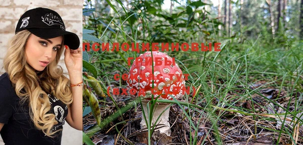 спайс Белокуриха