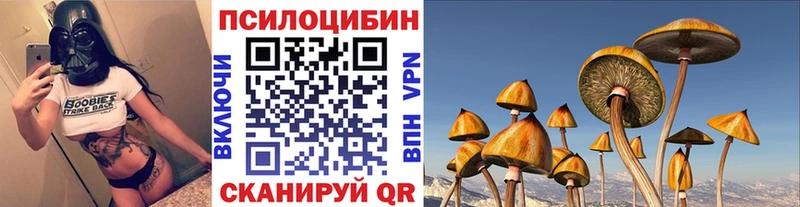 Купить где  Сокол  Псилоцибиновые грибы Psilocybe 